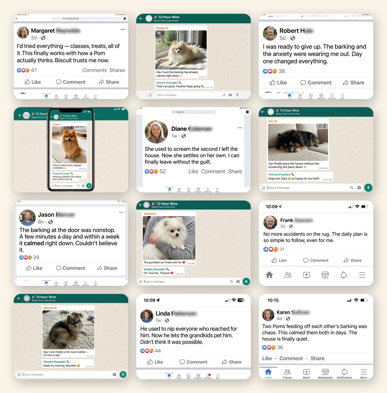 Real Brainy Pom owner reviews from Facebook and WhatsApp